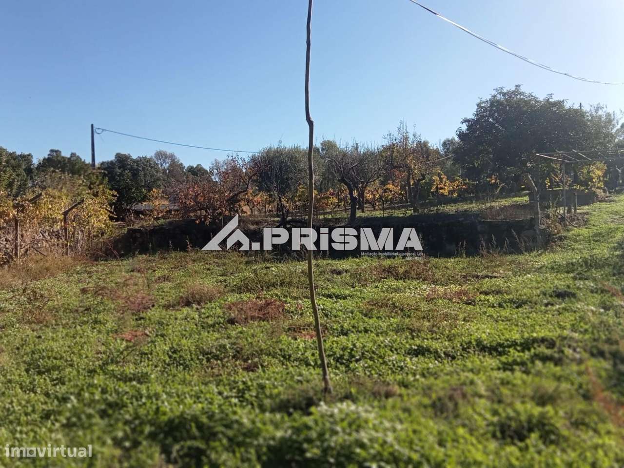 Quintinha para venda com construção rural para venda em Escalos de Bai-10