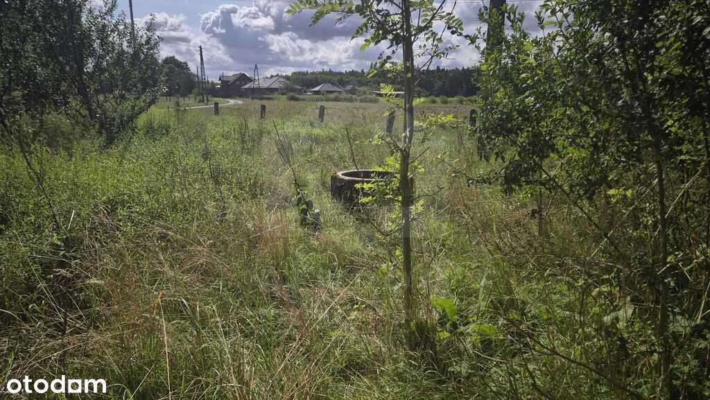 Dom do remontu na sprzedaż - Pełny obrazek: 5/8