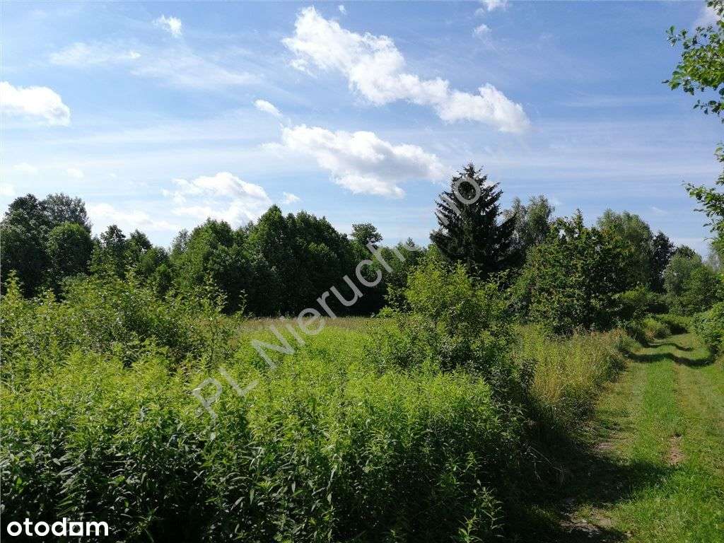 Działka na uboczu blisko Warszawy-8