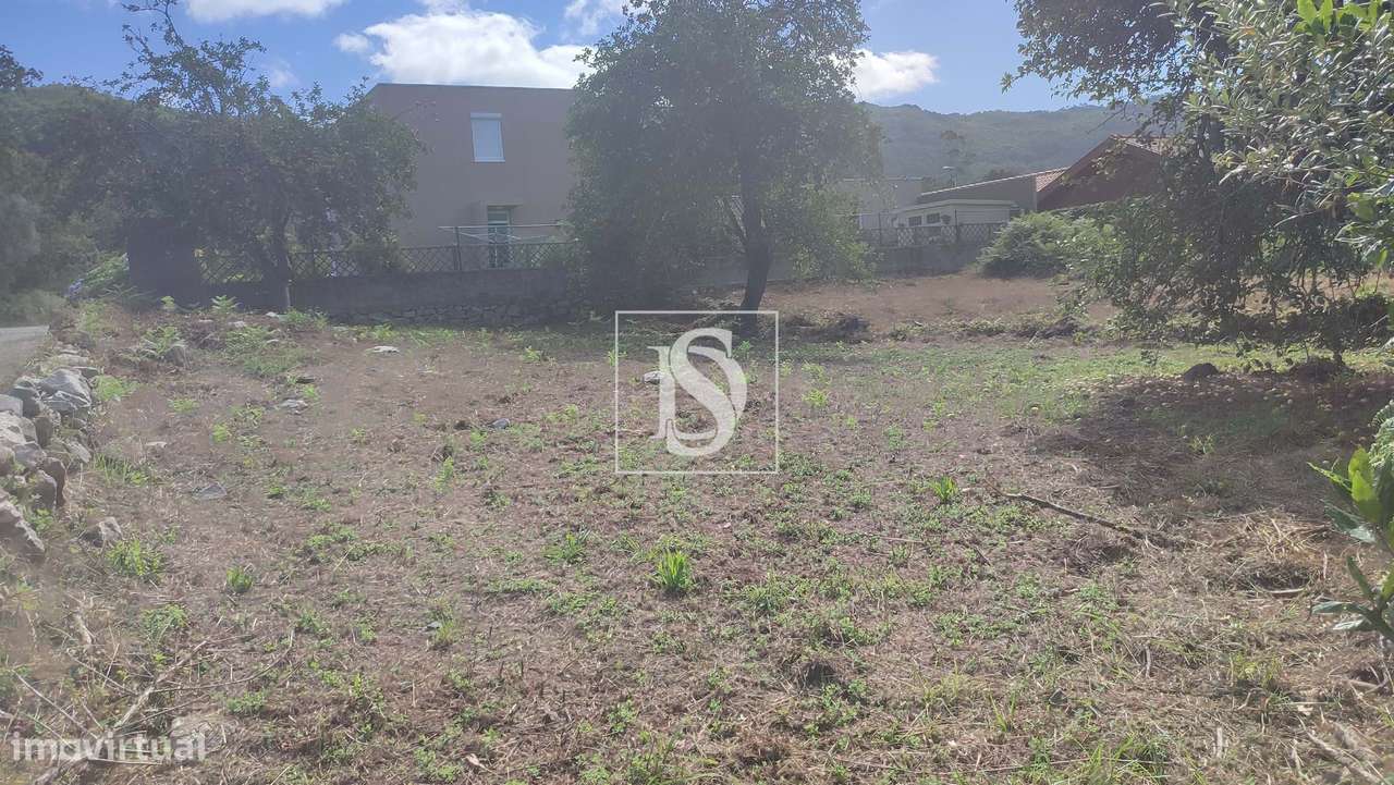 Terreno em Afife com Vista Mar - Grande imagem: 5/17