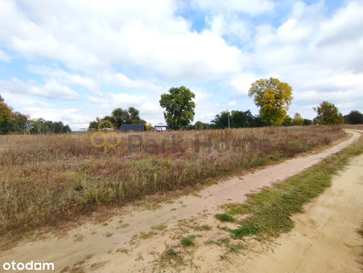 Działka w urokliwym miejscu blisko Dolska - Pełny obrazek: 4/5