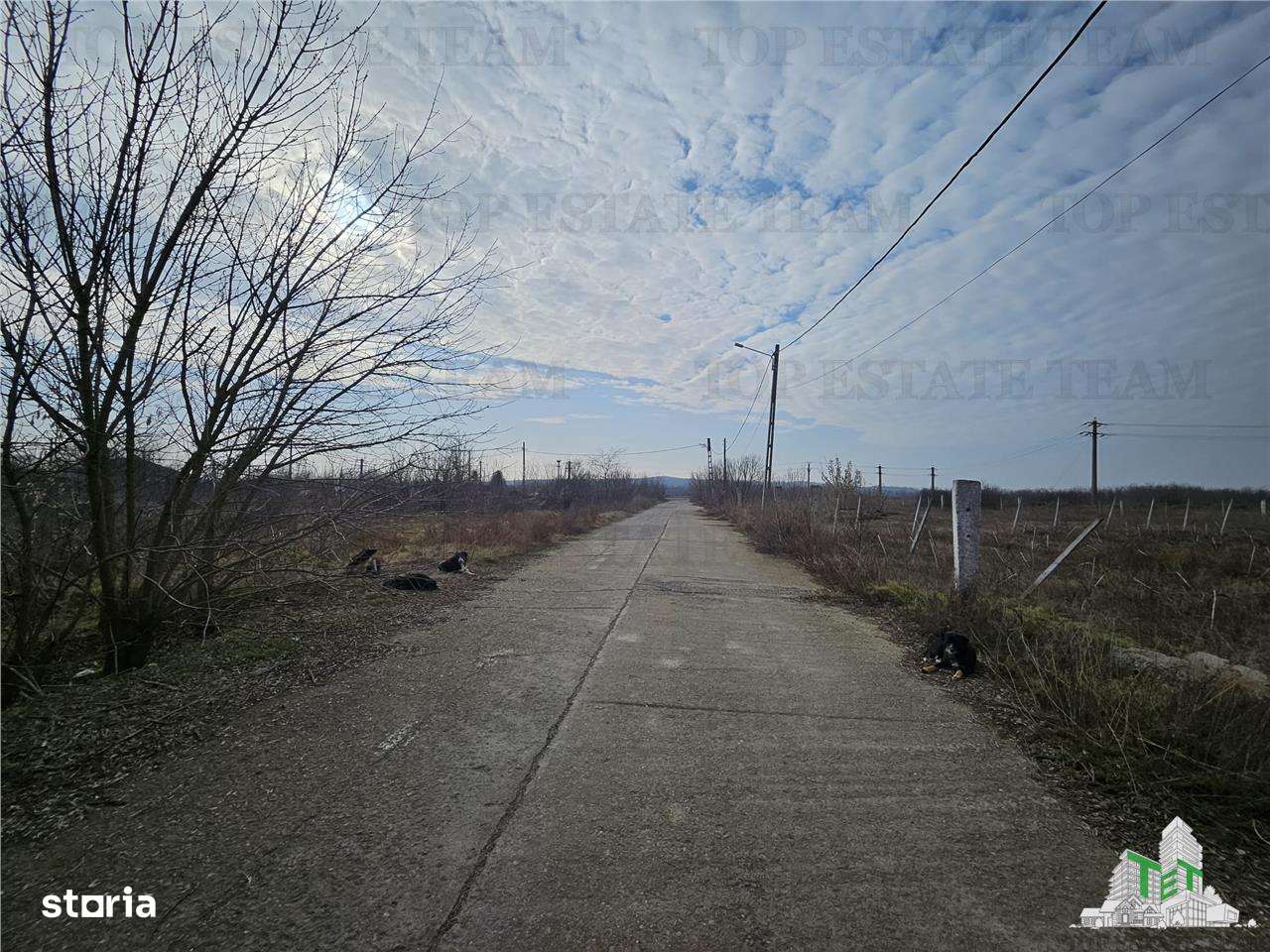 Teren intravilan Harsova - Imagine principală: 3/7