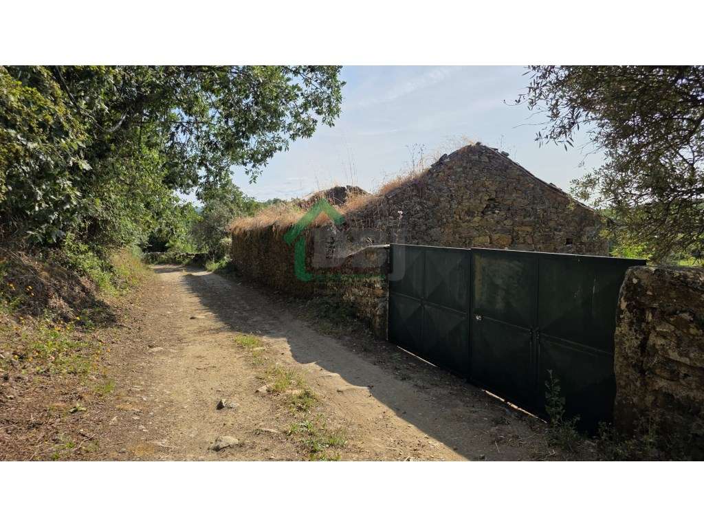 Quintinha - Grande imagem: 4/11