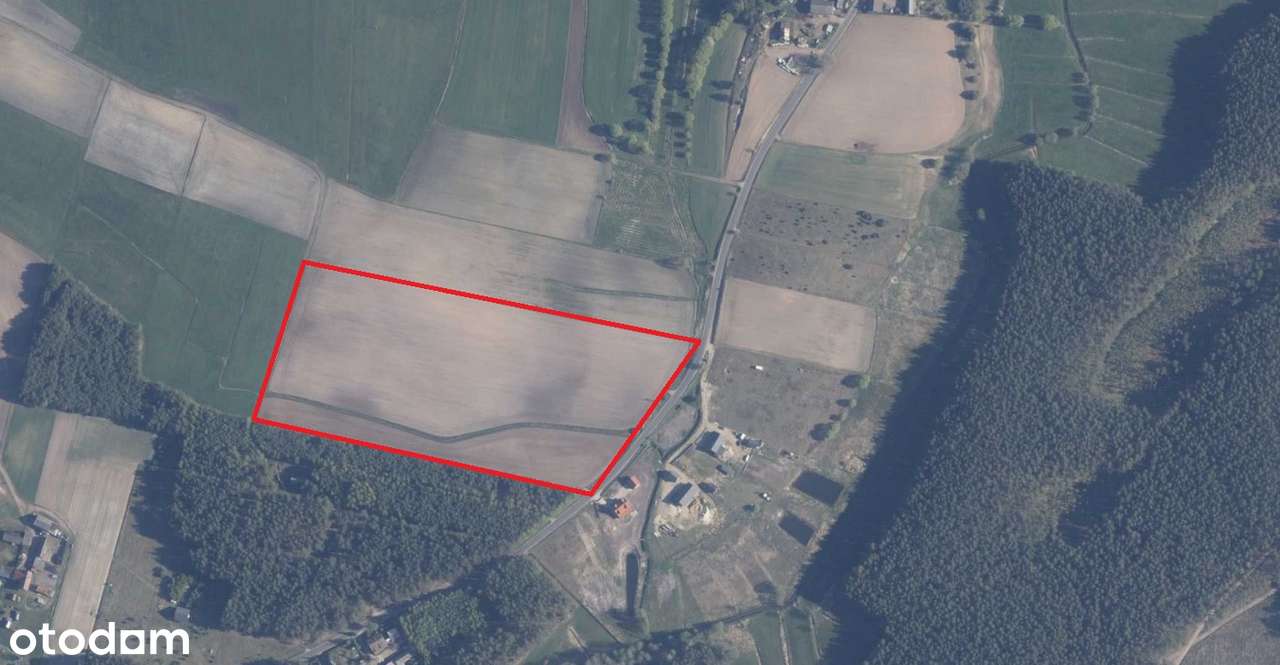 Duża piękna działka budowlana. Bory Tucholskie. Promocyjna cena! - Pełny obrazek: 4/20