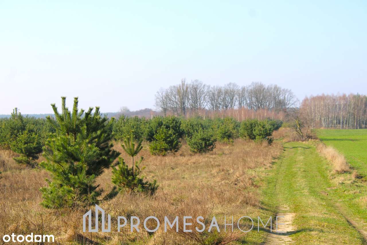 Karczewko działka bud MPZP prąd woda 70zł/m2 las jezioro !!-4