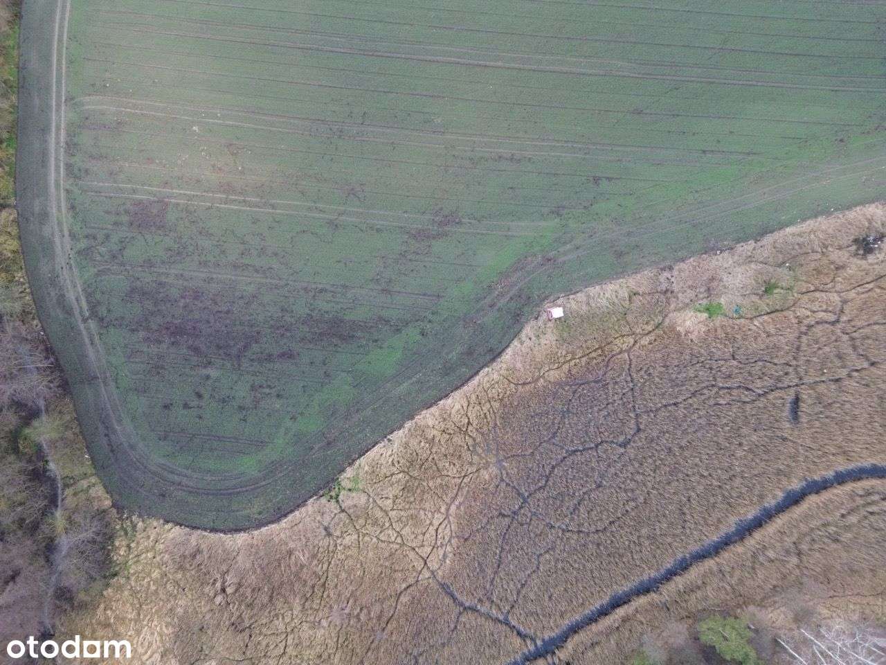 Rokietnica/Napachanie - działka rolna 1,0424ha - Pełny obrazek: 5/20