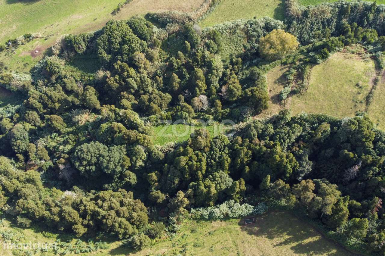 Terreno composto por mata com 13420m2 - Grande imagem: 4/5