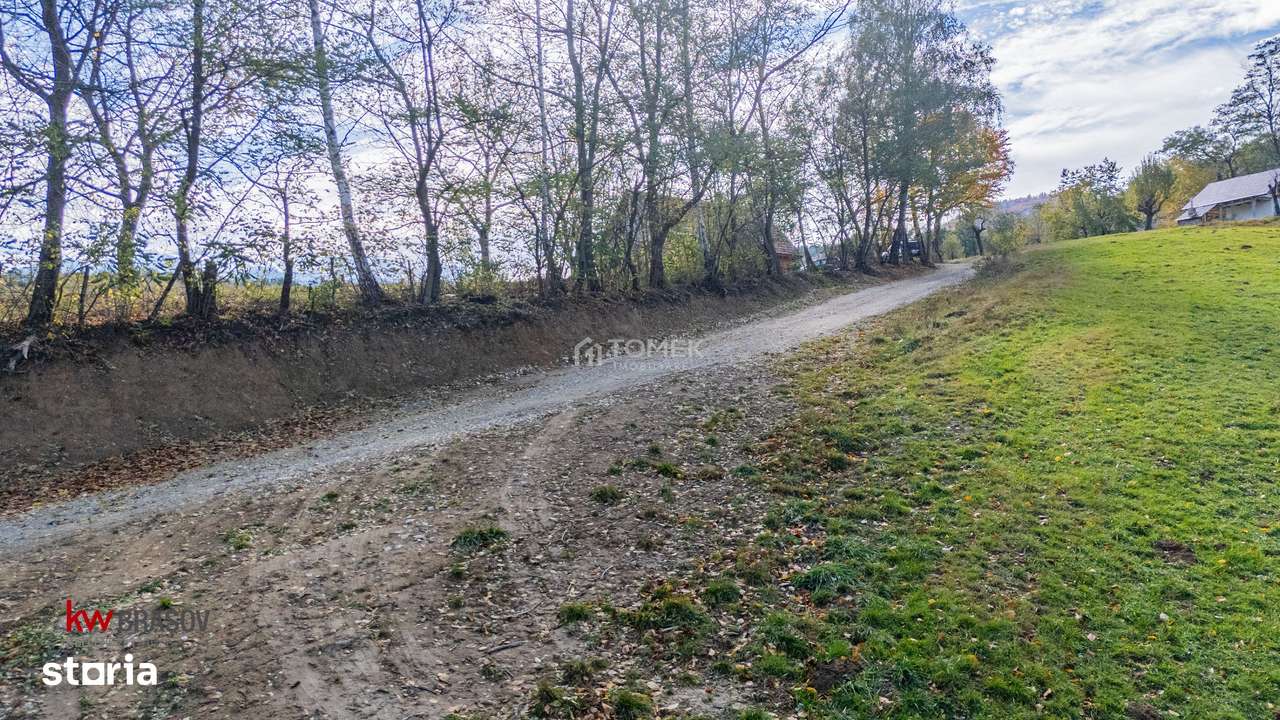Teren intravilan în Zărnești, zona Tohanita, cu pădurice și parau curg-11