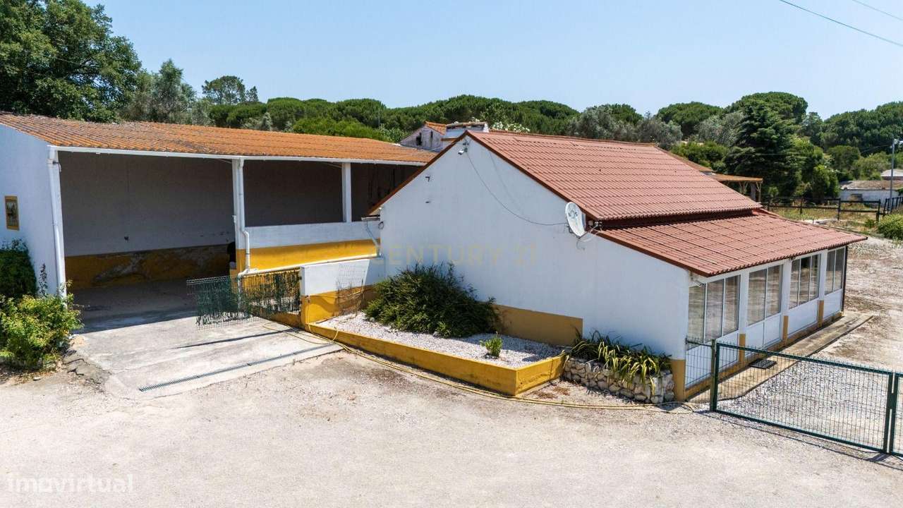 Quinta Equestre a 45 minutos de Lisboa-8