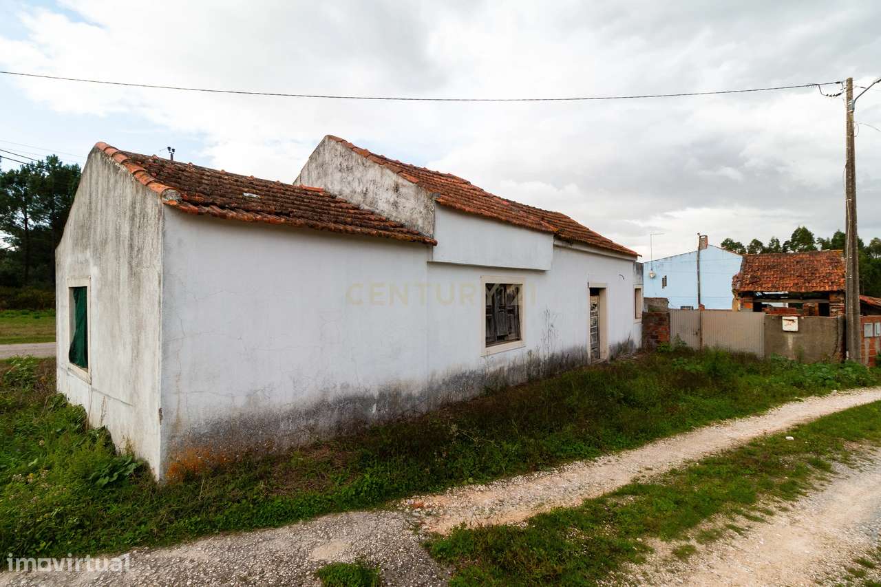 Moradia  independente  com 6500m2 em Alcobaça - Grande imagem: 4/23