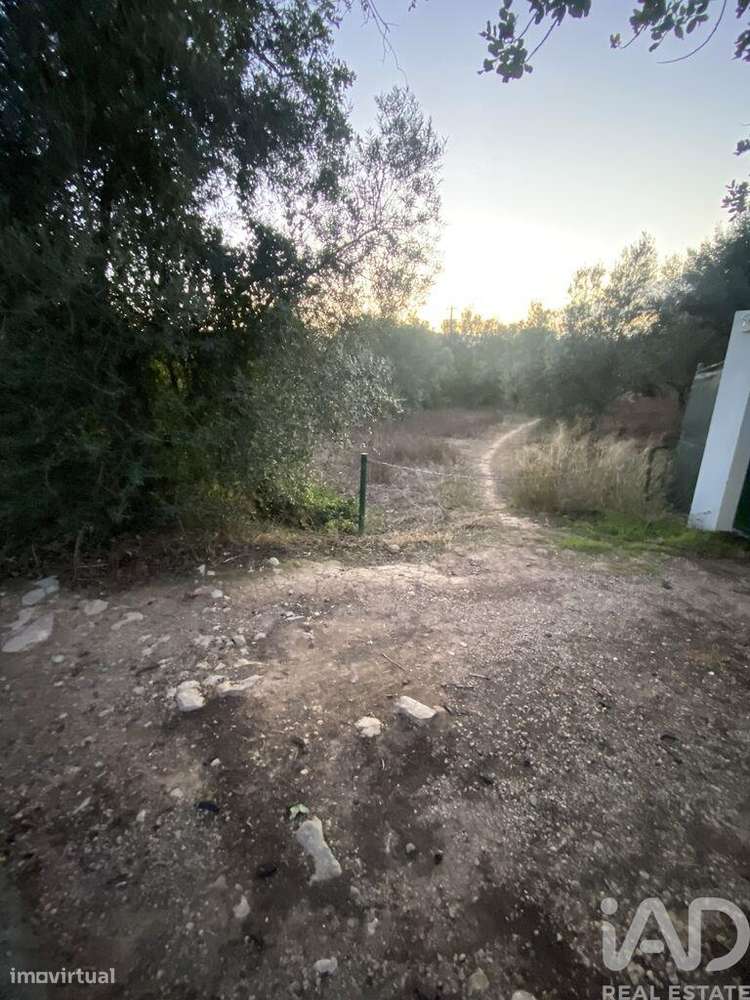 Terreno Agrícola em Santa Bárbara de Nexe - Grande imagem: 4/6