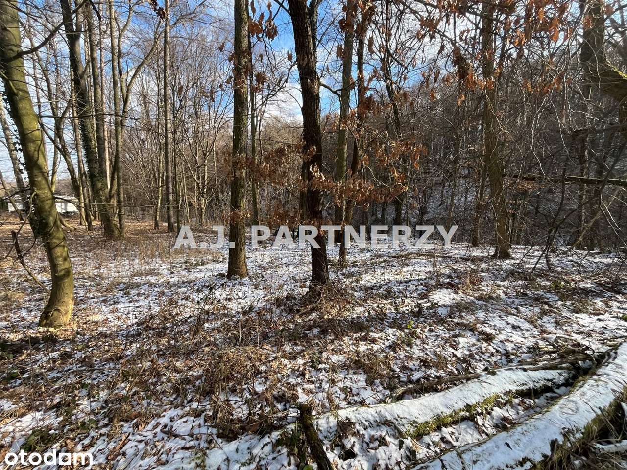Duża działka w Swoszowicach!-4