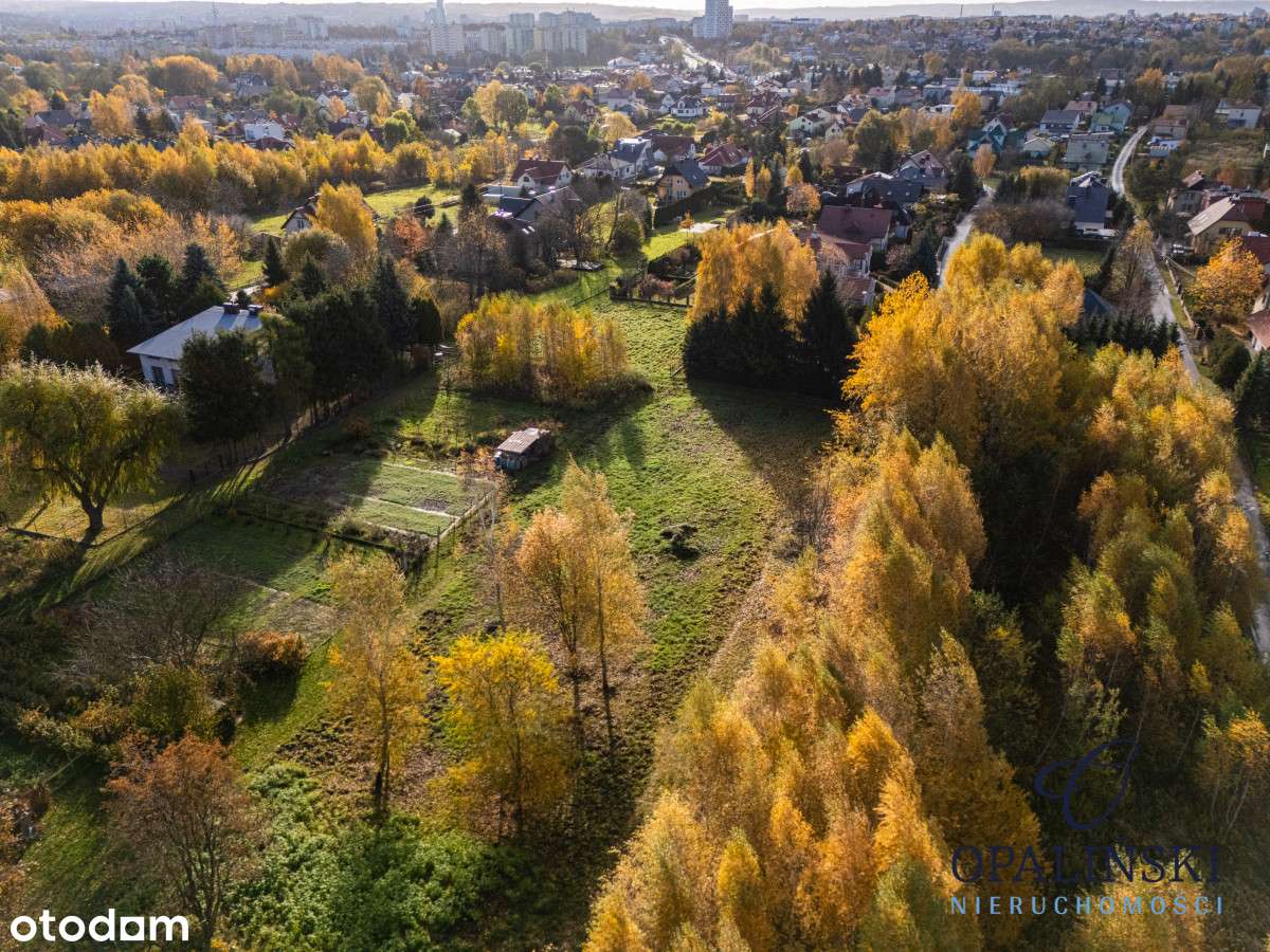 Kameralna okolica | Krakowska | WZ | Zieleń-6