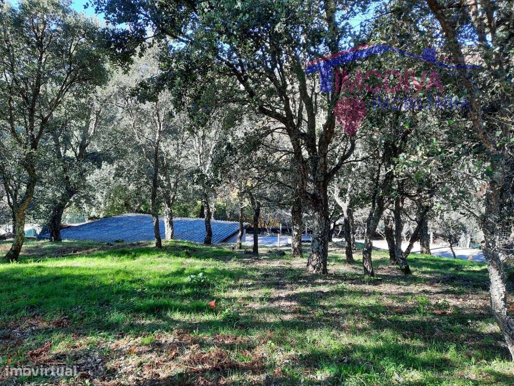 Edifício para transformar, em Figueiró dos Vinhos - Grande imagem: 4/8