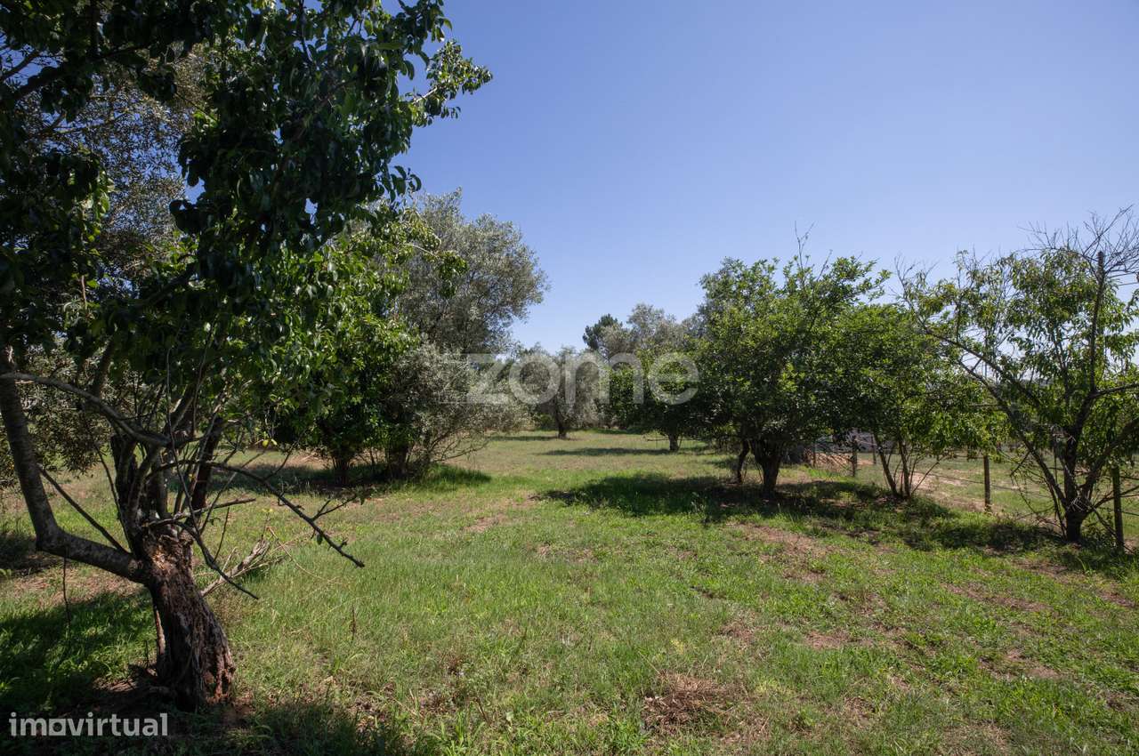 Terreno São Facundo - Coimbra - Grande imagem: 4/17