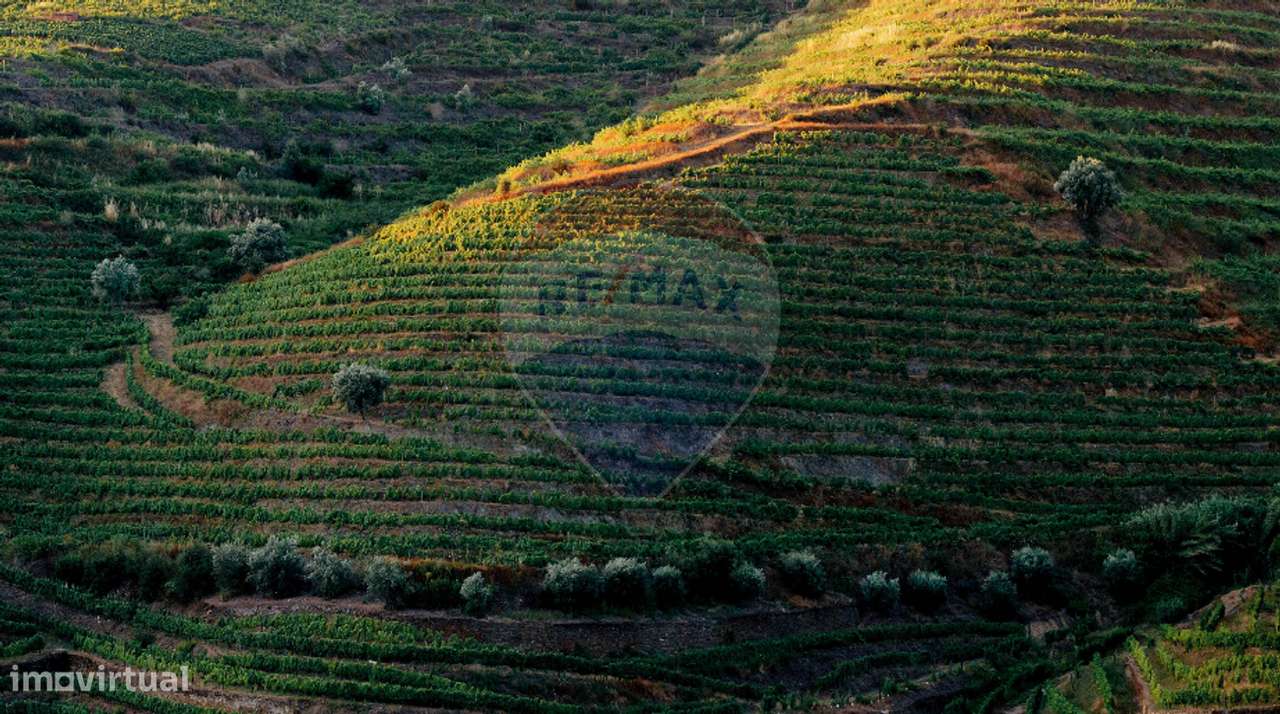 Hotel  para venda - Grande imagem: 3/29