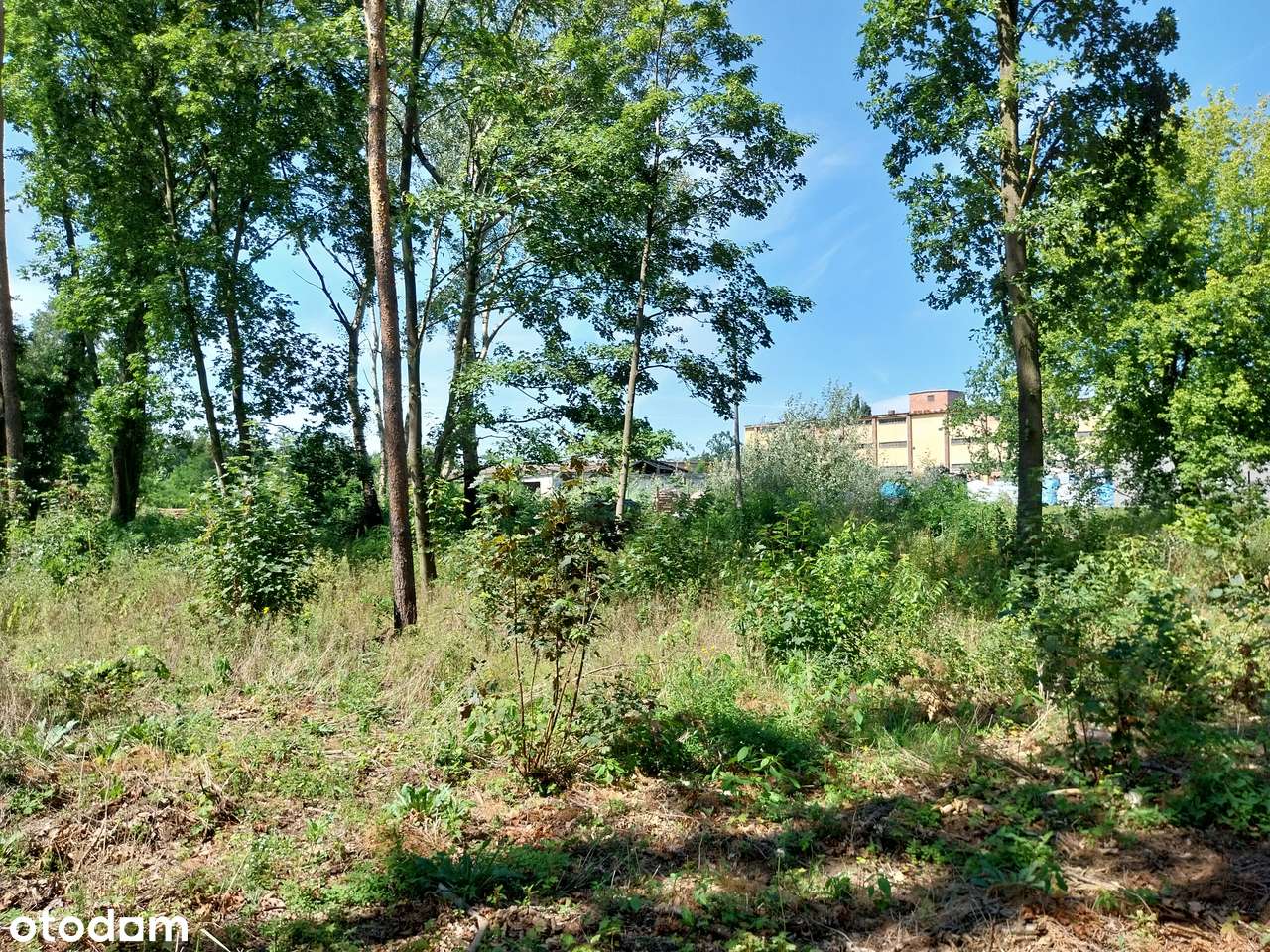 nieruchomość inwestycyjna (produkcja/usługi-1