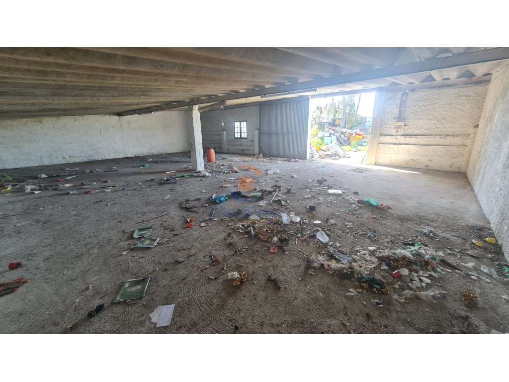 MTM6872 - Quintinha 11.500m2 | Palmela-25