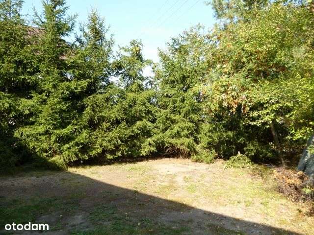 Do Sprzedania Posiadłośc W Narzymiu-11