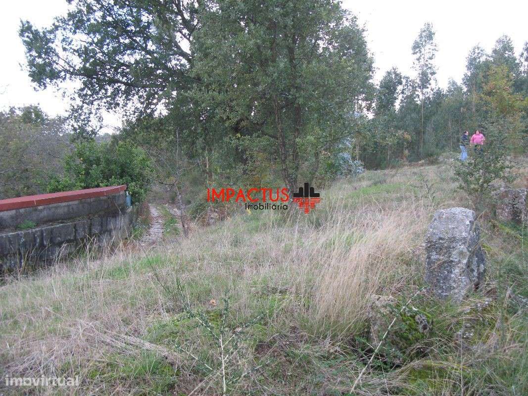 Terreno em Monte Córdova - Grande imagem: 4/11