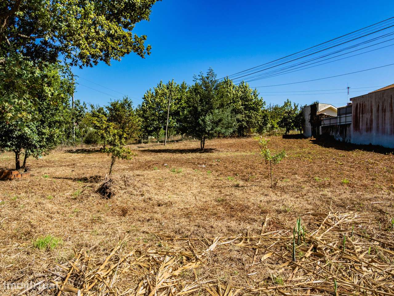 Terreno para construção de moradia isolada, Oiã, Oliveira do Bairro-6