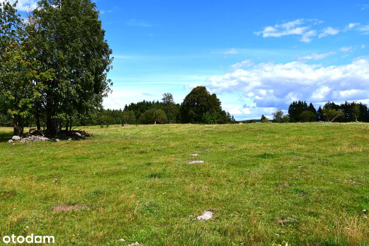 Piękna działka w otulinie Suwalskiego Parku Krajobrazowego. OKAZJA !!! - Pełny obrazek: 4/11