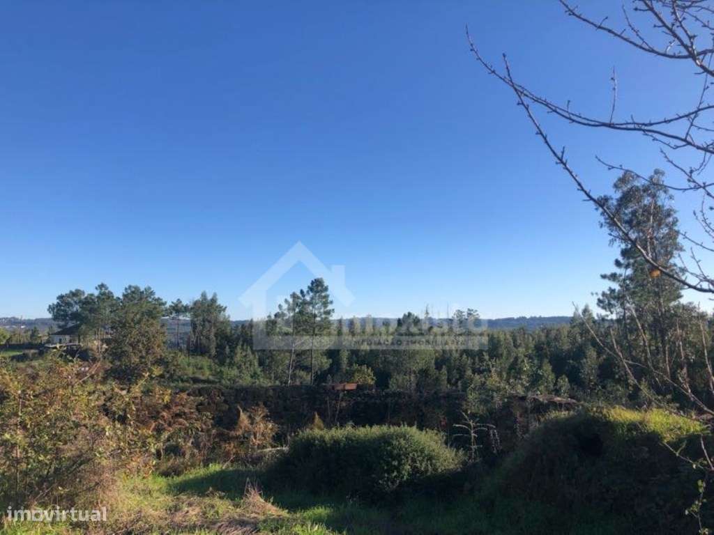 Casa de Campo em Pedrógão Grande-6