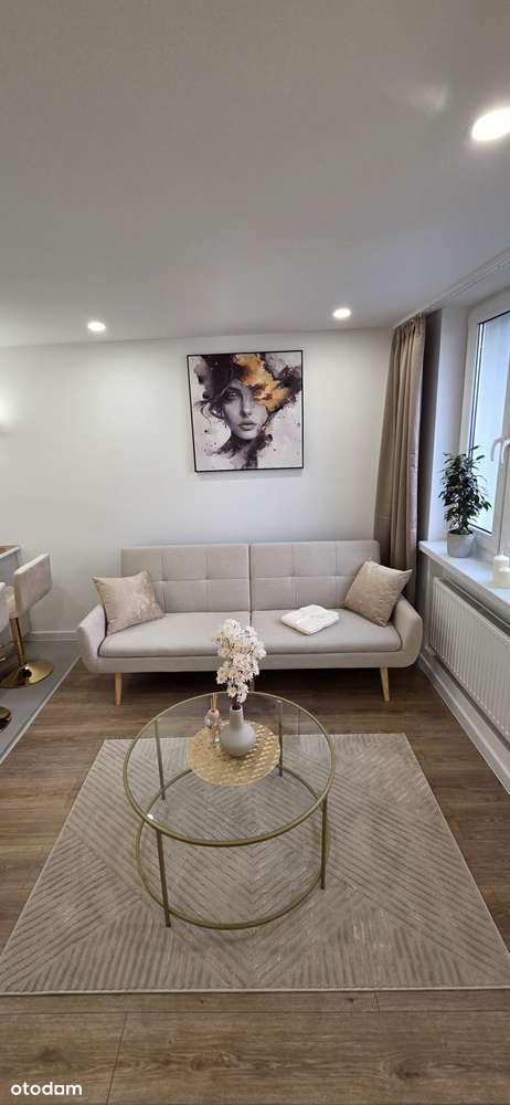 2 pokojowy apartament z dużą loggią po generalnym remoncie Szombierki-10