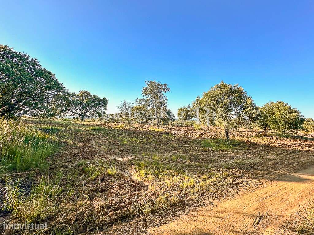 Quinta de 9,4 hectares em Medelim - Grande imagem: 5/21