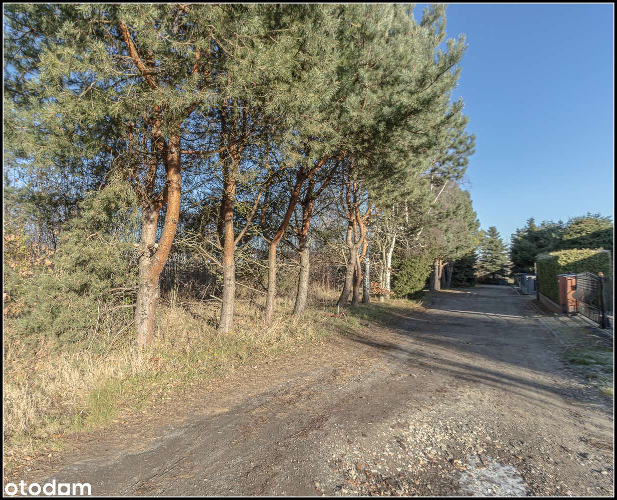 Kiekrz - działka rolna 5 879m2-16