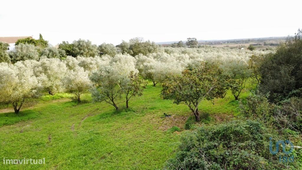 Terreno em Santarém de 26720,00 m2