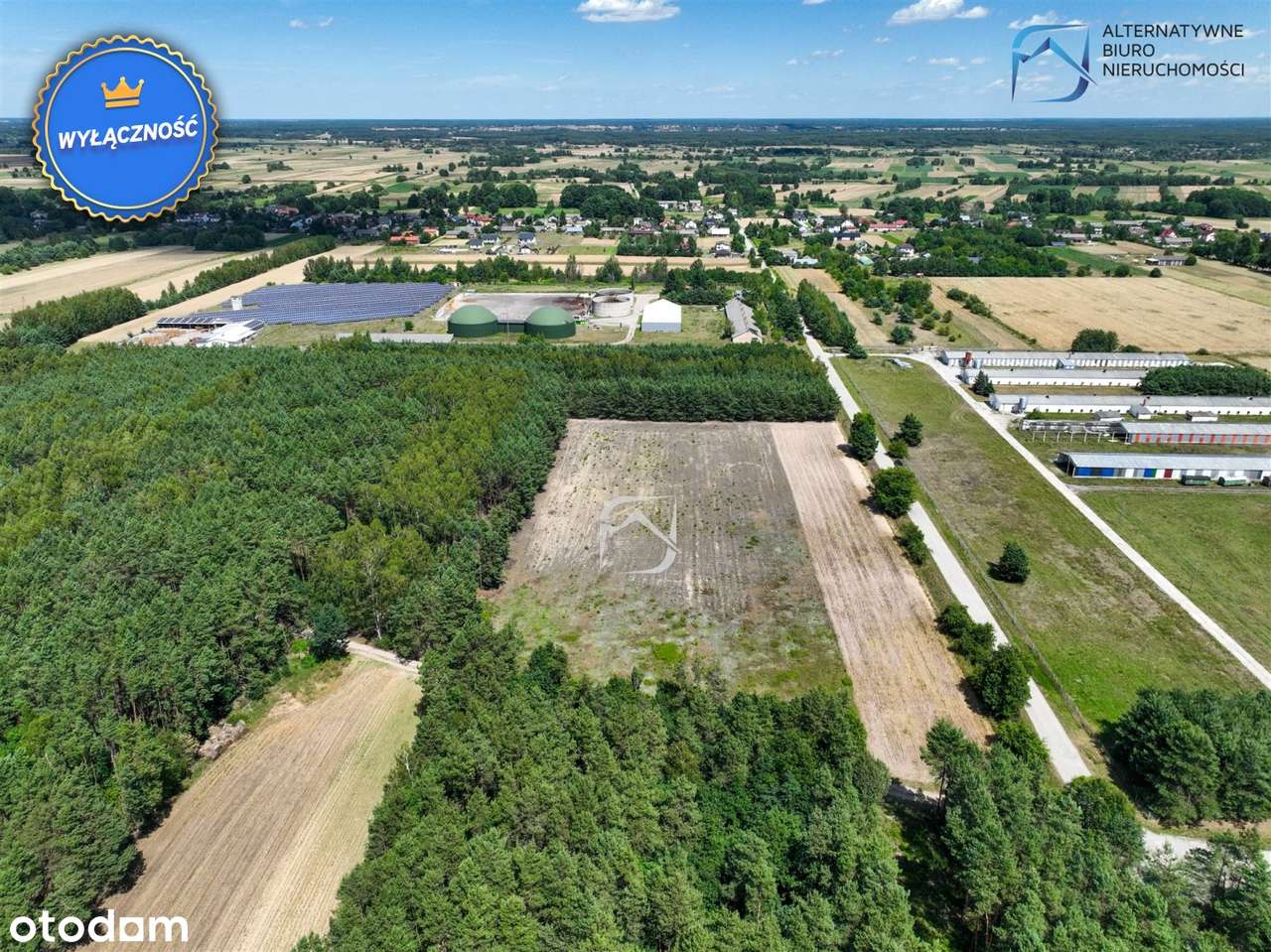 Grunt pod budowę hali przemysłowej - 12500m2 - Pełny obrazek: 4/14