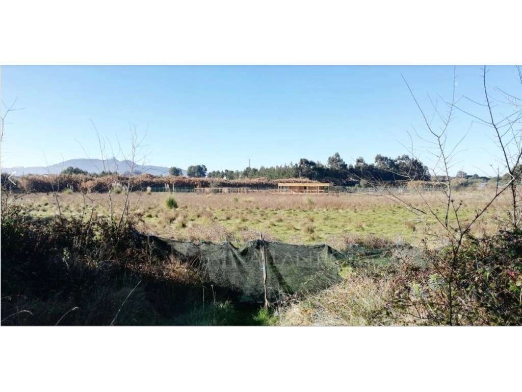 Terrenol na Zona de Sintra - Grande imagem: 4/10