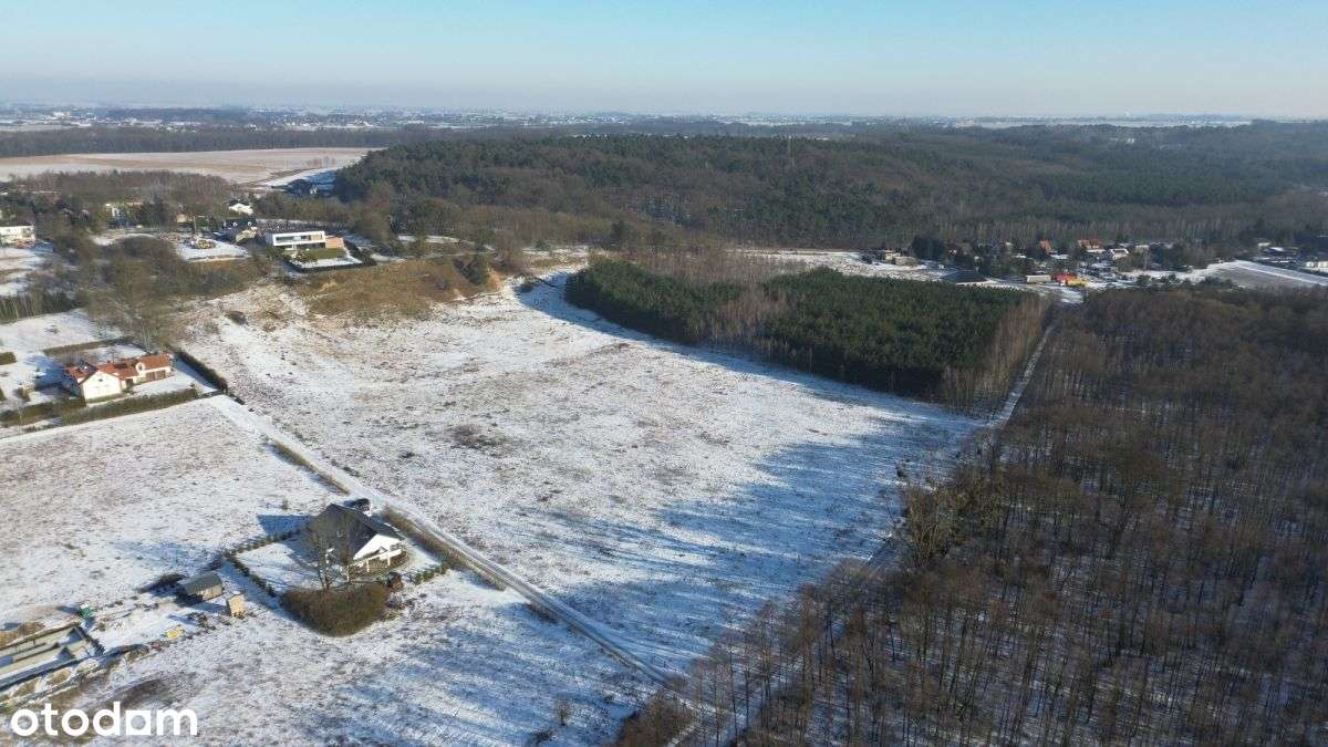 Zamieszkaj przy samym lesie w Zamku Bierzgłowskim - Pełny obrazek: 2/13