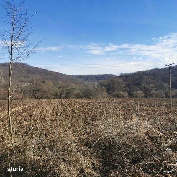 Teren agricol de vanzare  1 Ha - Imagine principală: 5/8