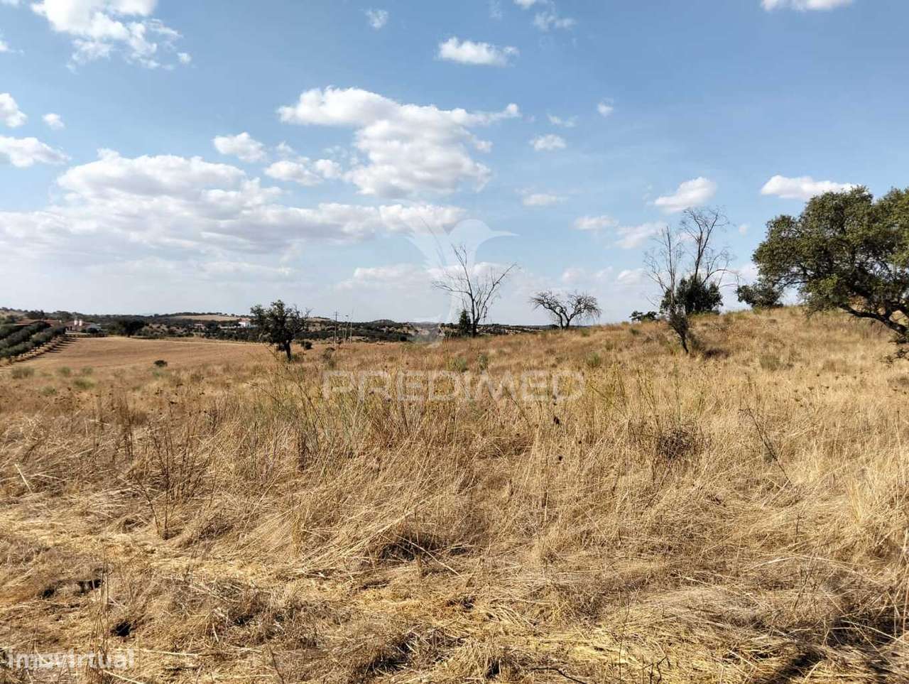 Terreno Rústico com 4,45000(ha) - Rosário, Alandroal - Grande imagem: 4/19