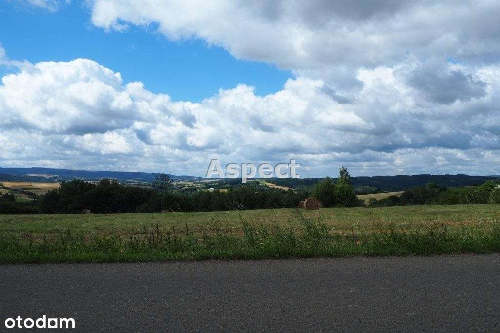 Wielopole Skrzyńskie działka 1,54 ha - Pełny obrazek: 5/10