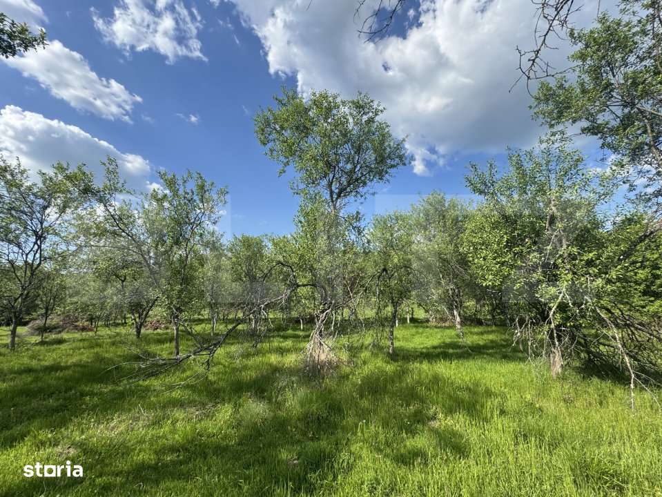 Teren intravilan de vanzare, 15080 mp, zona Tatarasti - Imagine principală: 4/8