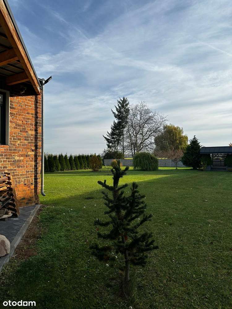 Budynek produkcyjno-magazynowy-7