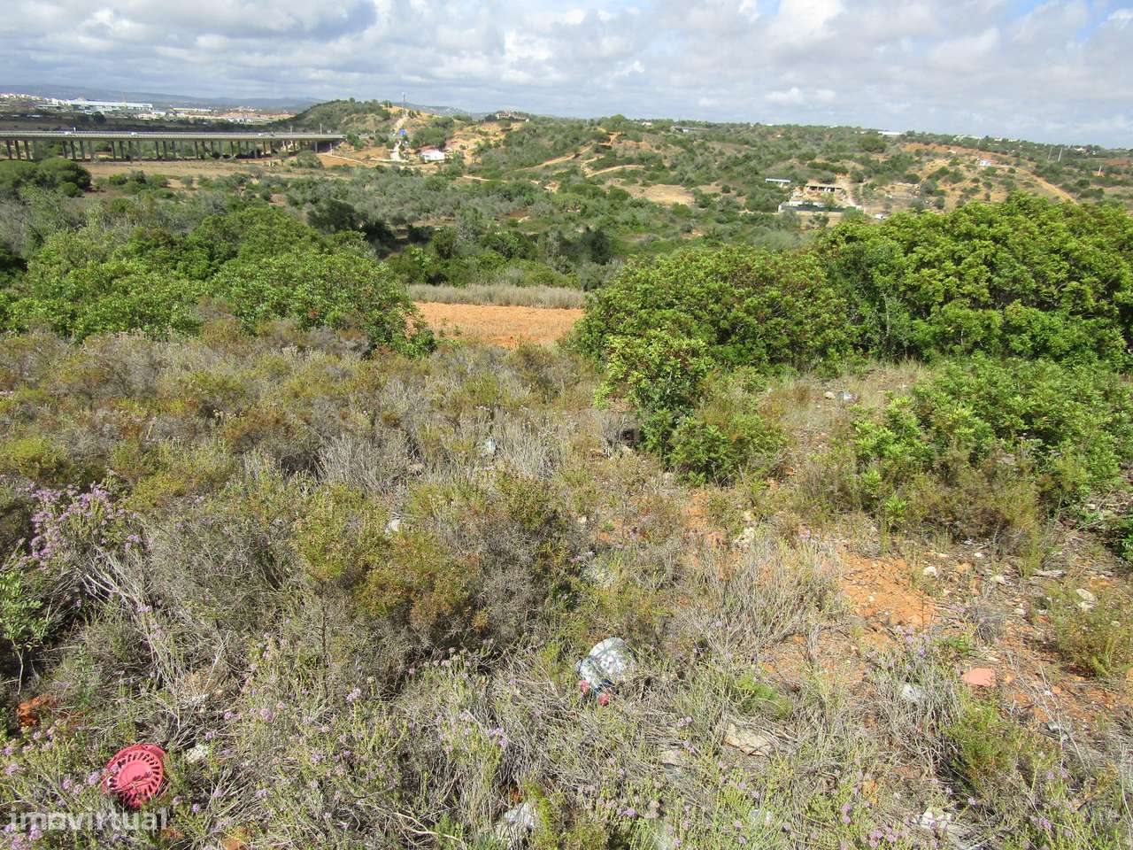 Terreno Misto com 15400m2 - Vales de Pêra - Grande imagem: 4/11