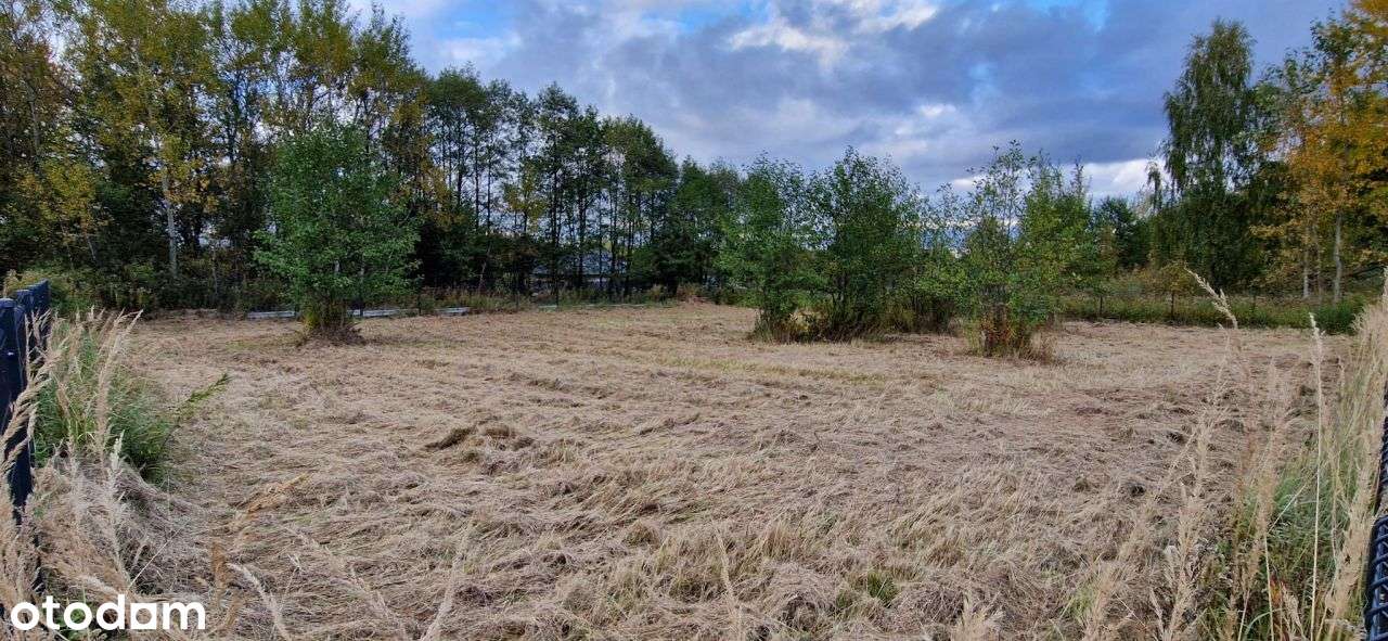 Sprzedam działkę 10,5ar z wydanym pozwoleniem na b - Pełny obrazek: 4/7