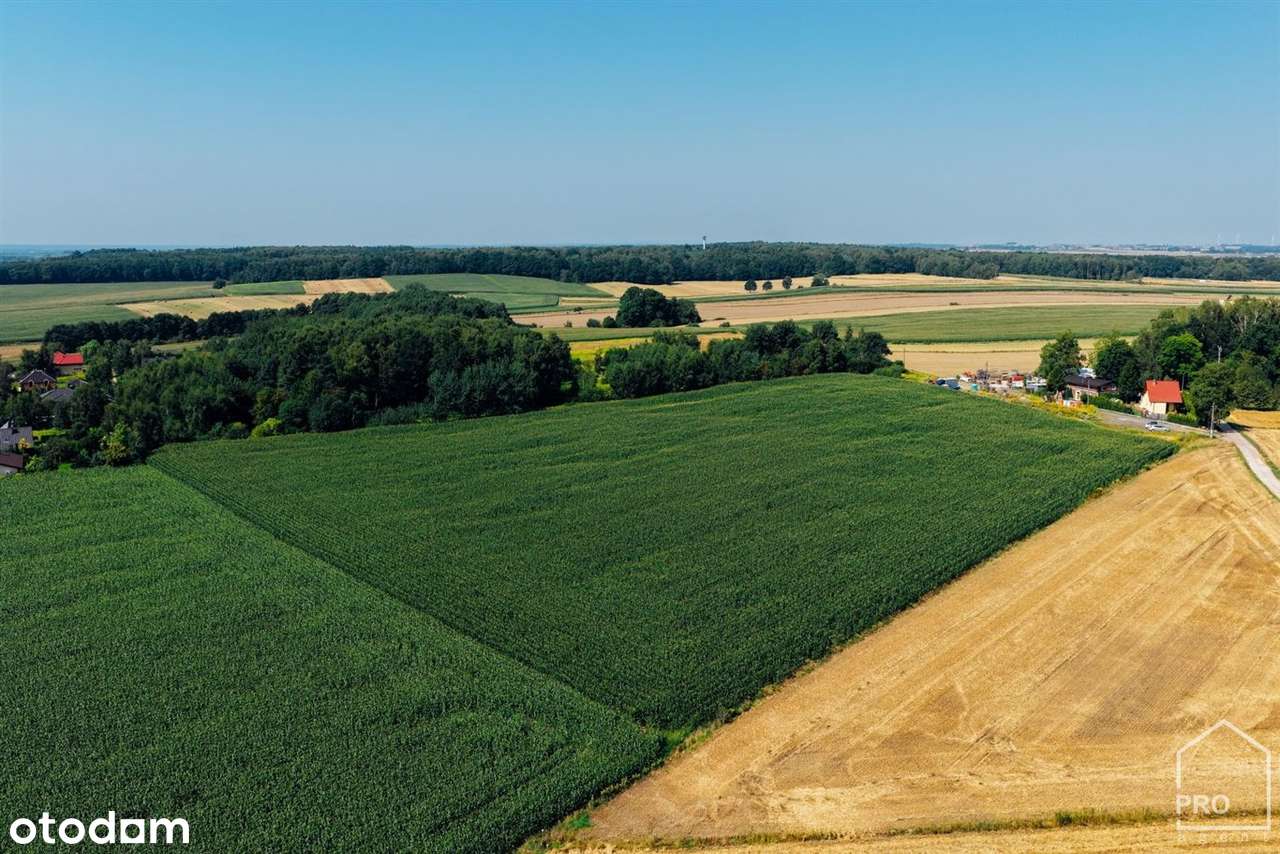 Działki na sprzedaż, powierzchnie od 626 do 813 m-6