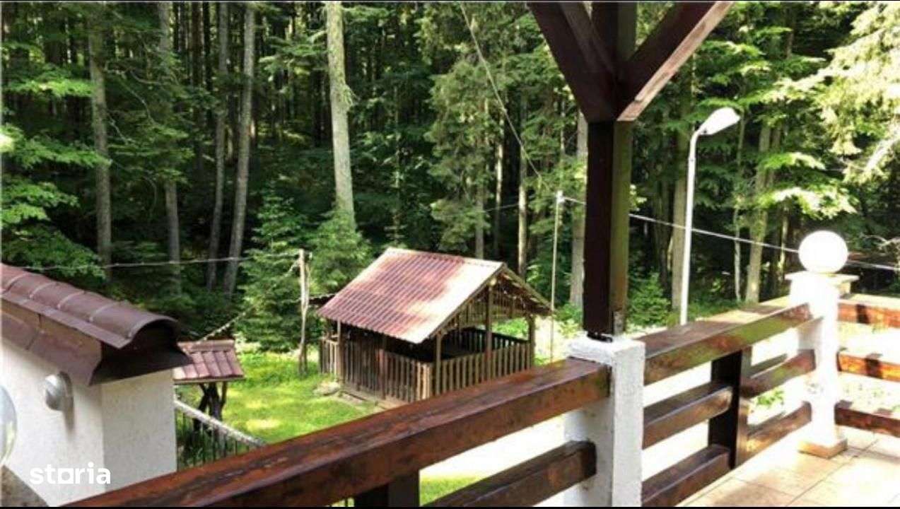 Nou | Conac Superb la Munte / 8 Camere / Teren 2000 mp /  Zona Predeal - Imagine principală: 3/20