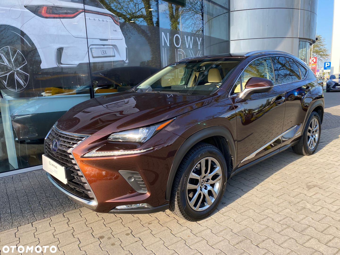 Lexus NX - 6