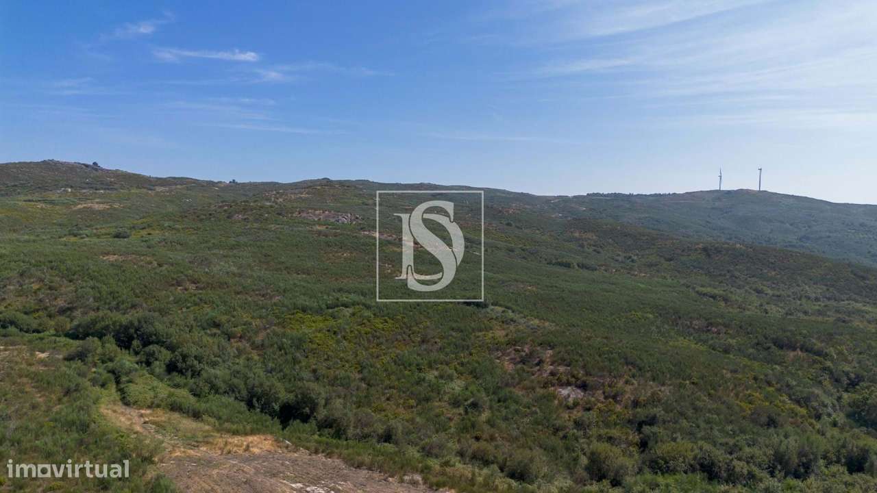 Terreno com Vista Panorâmica em Aldeia Nova São Simão -... - Grande imagem: 4/17