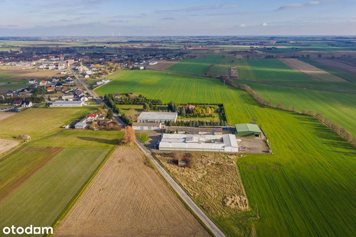 Hale magazynowo-produkcyjne na sprzedaż-10