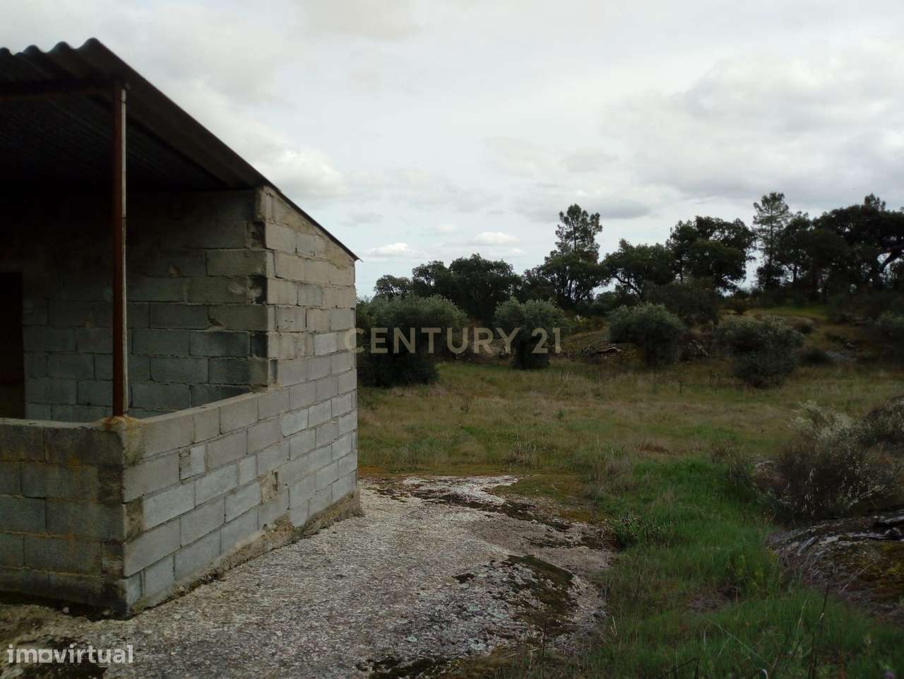 Terreno Rústico, Salgueiro do Campo - Grande imagem: 3/15