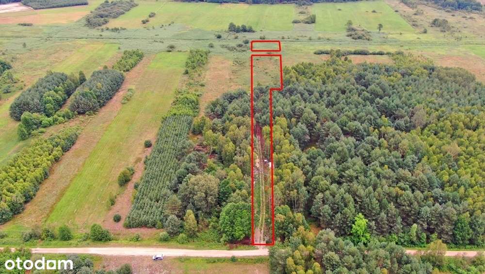 Dwie działki rolne – Rudniki k. Koniecpola - Pełny obrazek: 5/13