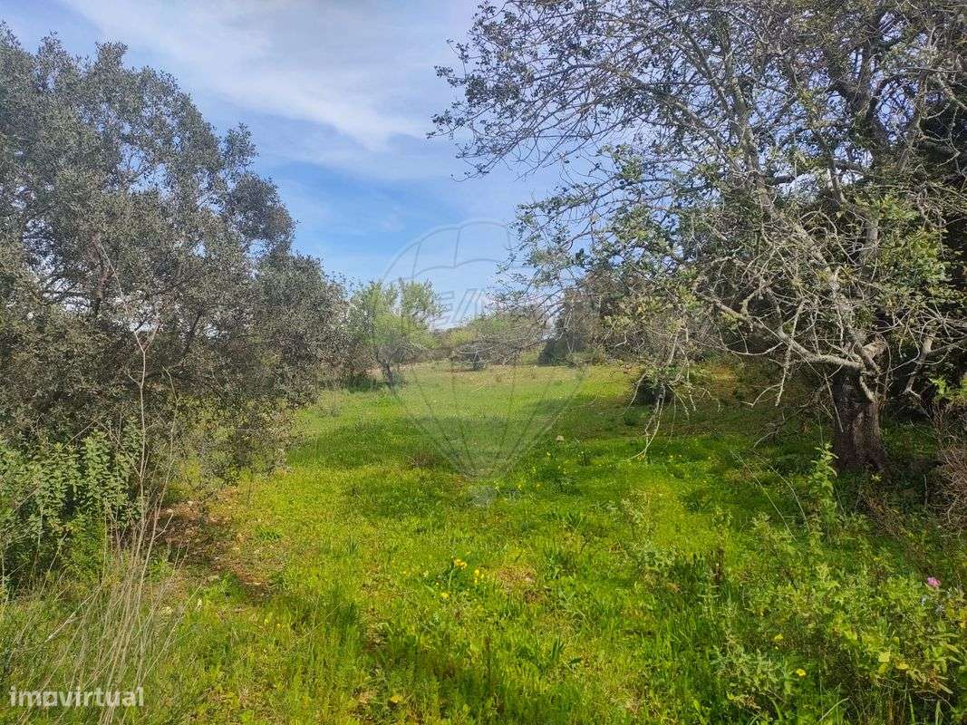 Terreno  para venda - Grande imagem: 5/9