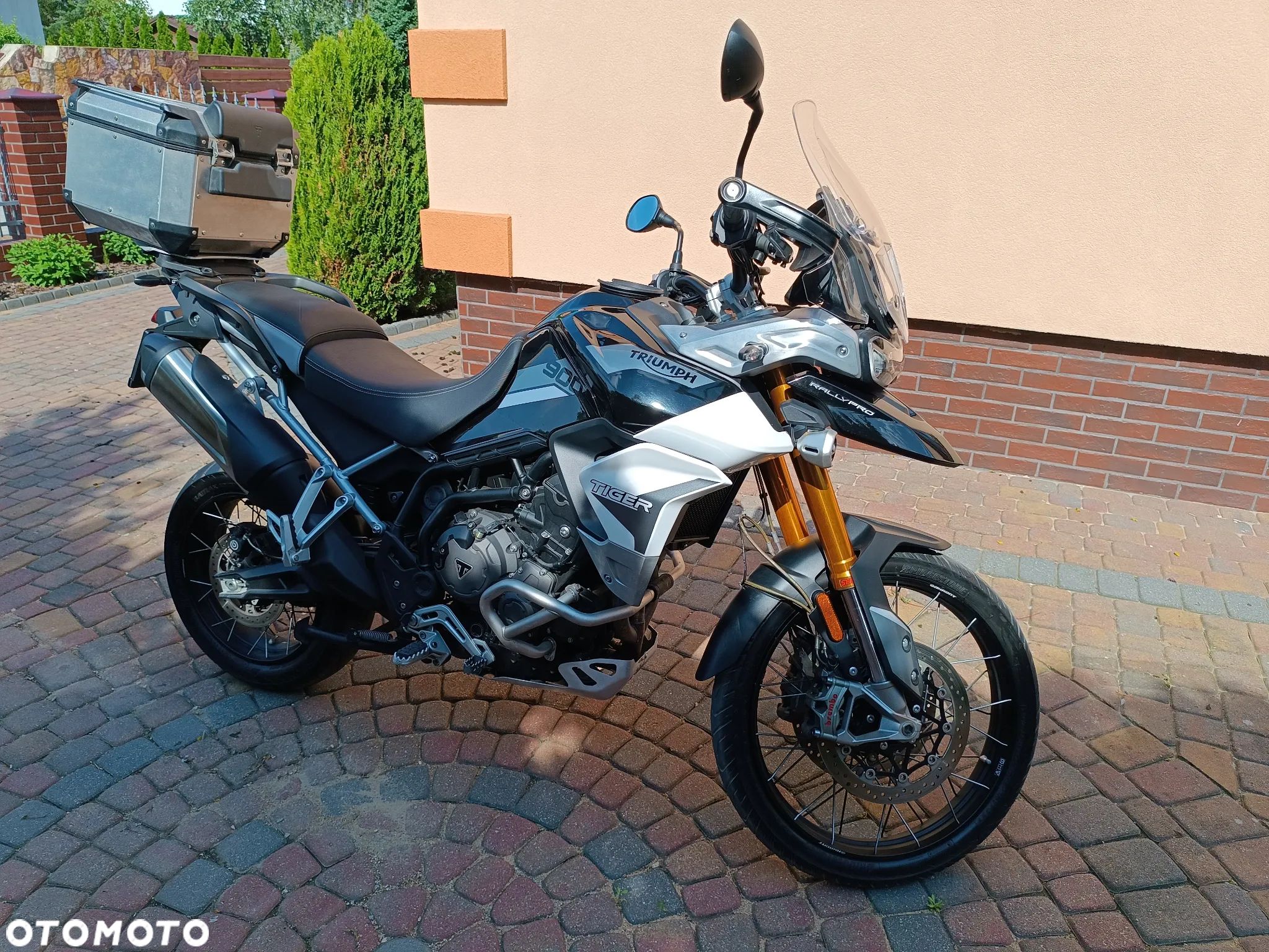 Triumph Tiger - 1